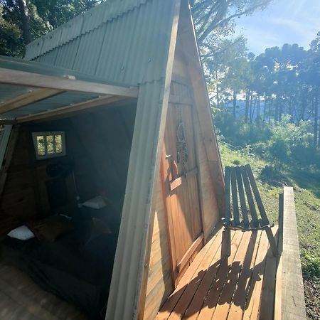 Estancia Las Araucarias Канела Екстериор снимка