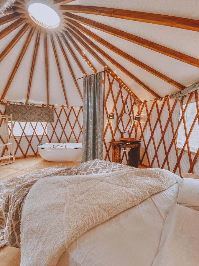 Estancia Las Araucarias Канела Екстериор снимка