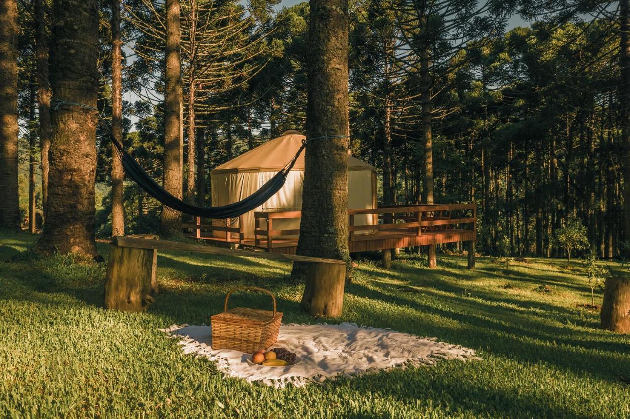 Estancia Las Araucarias Канела Екстериор снимка