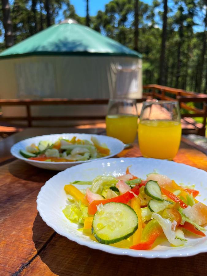 Estancia Las Araucarias Канела Екстериор снимка