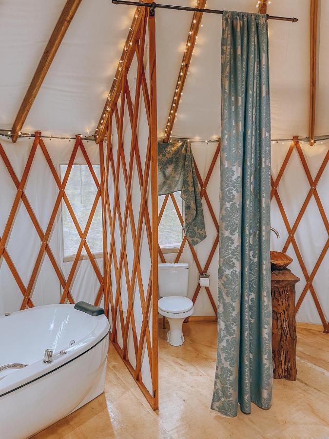 Estancia Las Araucarias Канела Екстериор снимка
