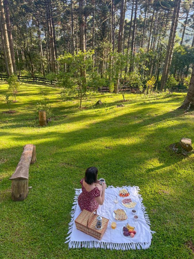 Estancia Las Araucarias Канела Екстериор снимка