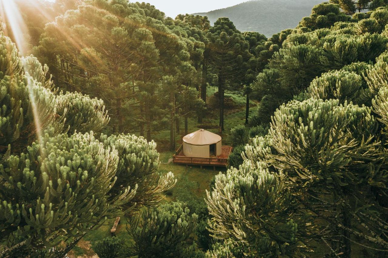 Estancia Las Araucarias Канела Екстериор снимка