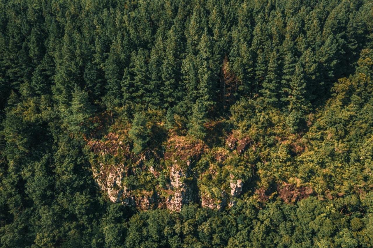 Estancia Las Araucarias Канела Екстериор снимка