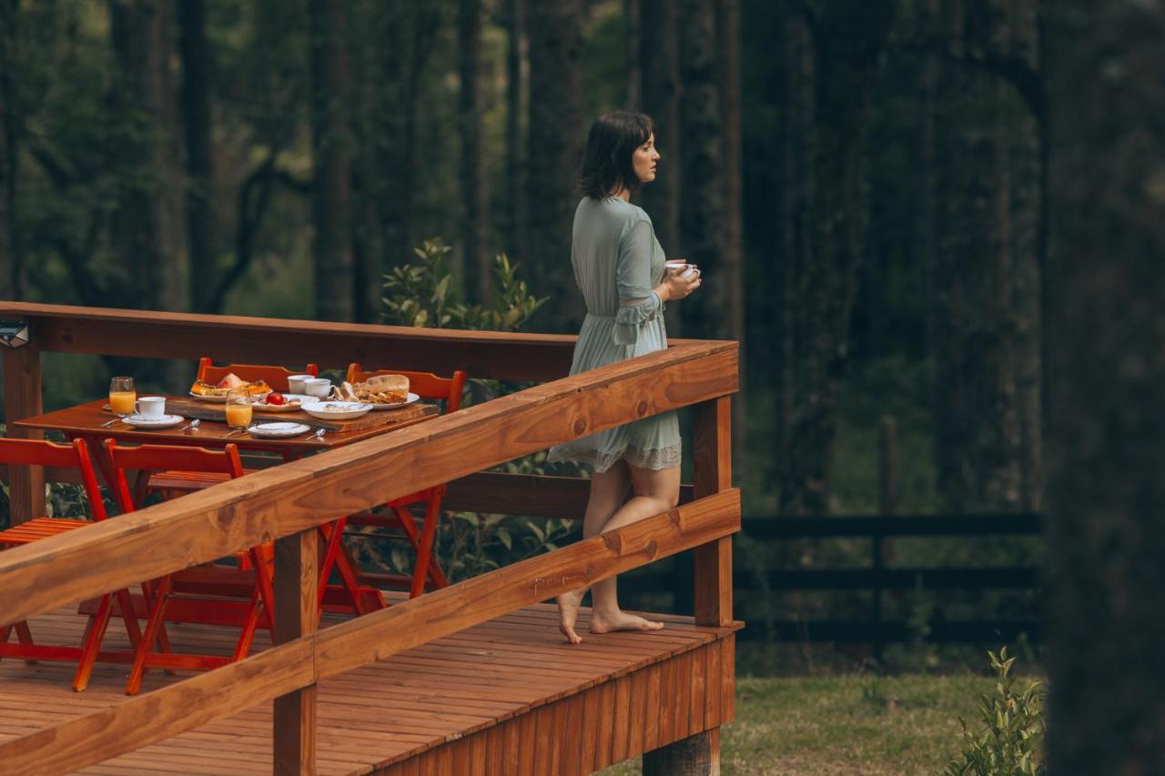 Estancia Las Araucarias Канела Екстериор снимка