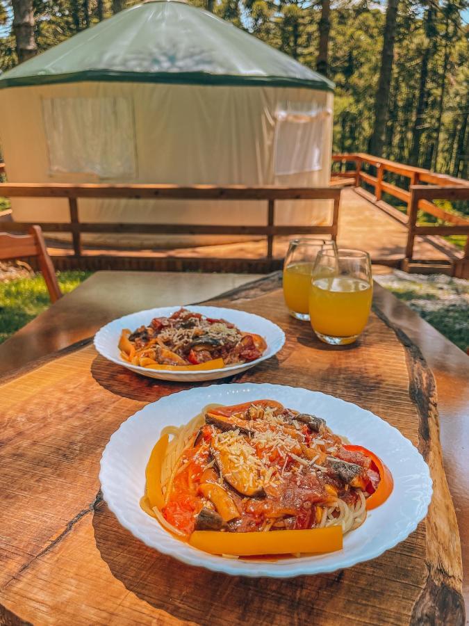 Estancia Las Araucarias Канела Екстериор снимка