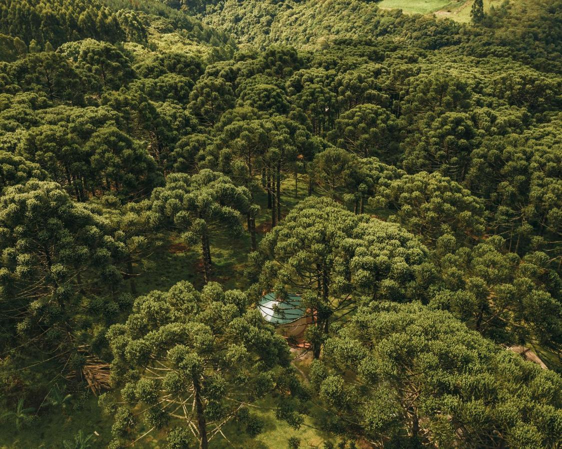 Estancia Las Araucarias Канела Екстериор снимка