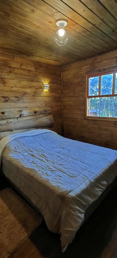 Estancia Las Araucarias Канела Екстериор снимка